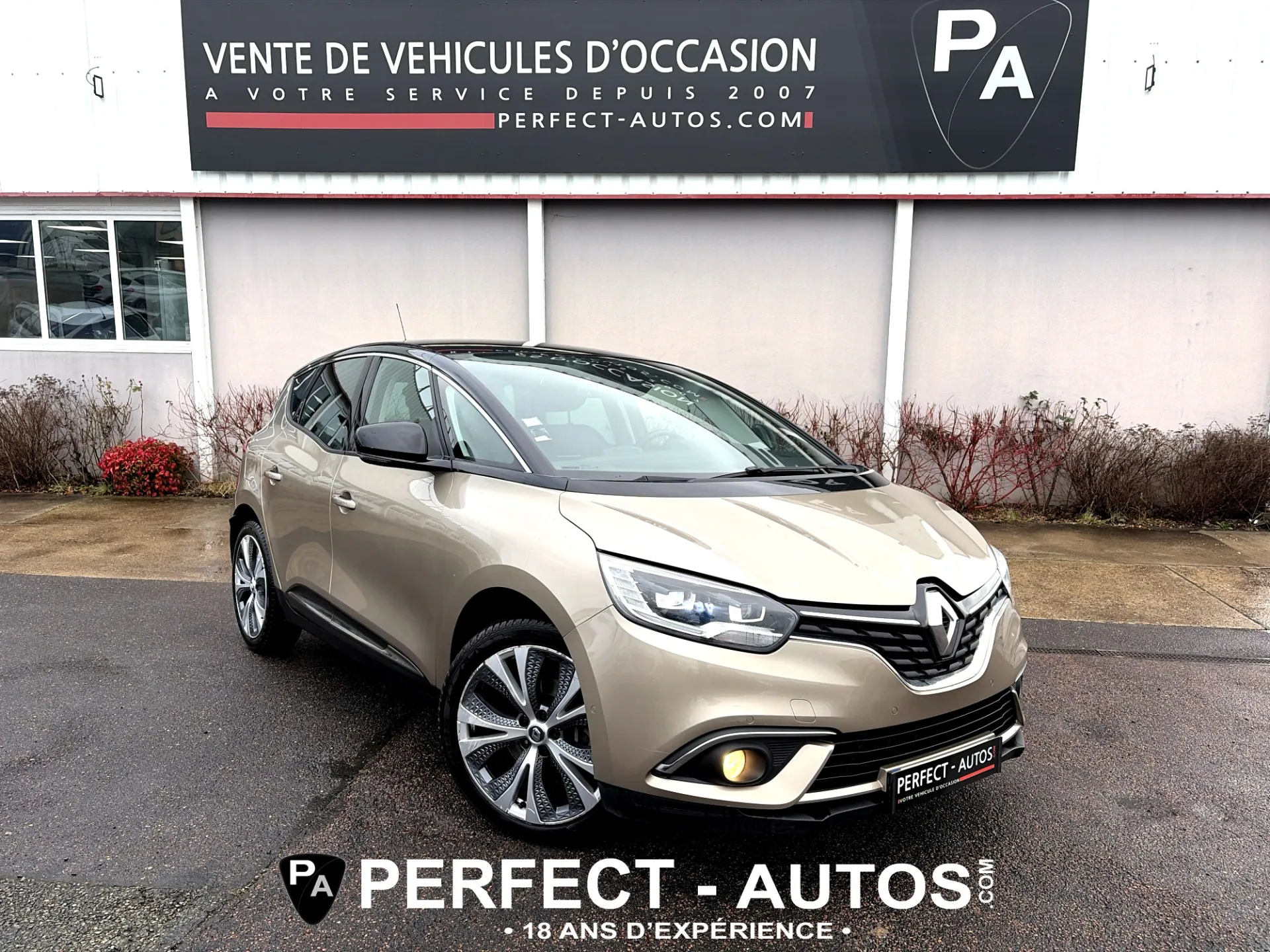 RENAULT SCENIC IV
