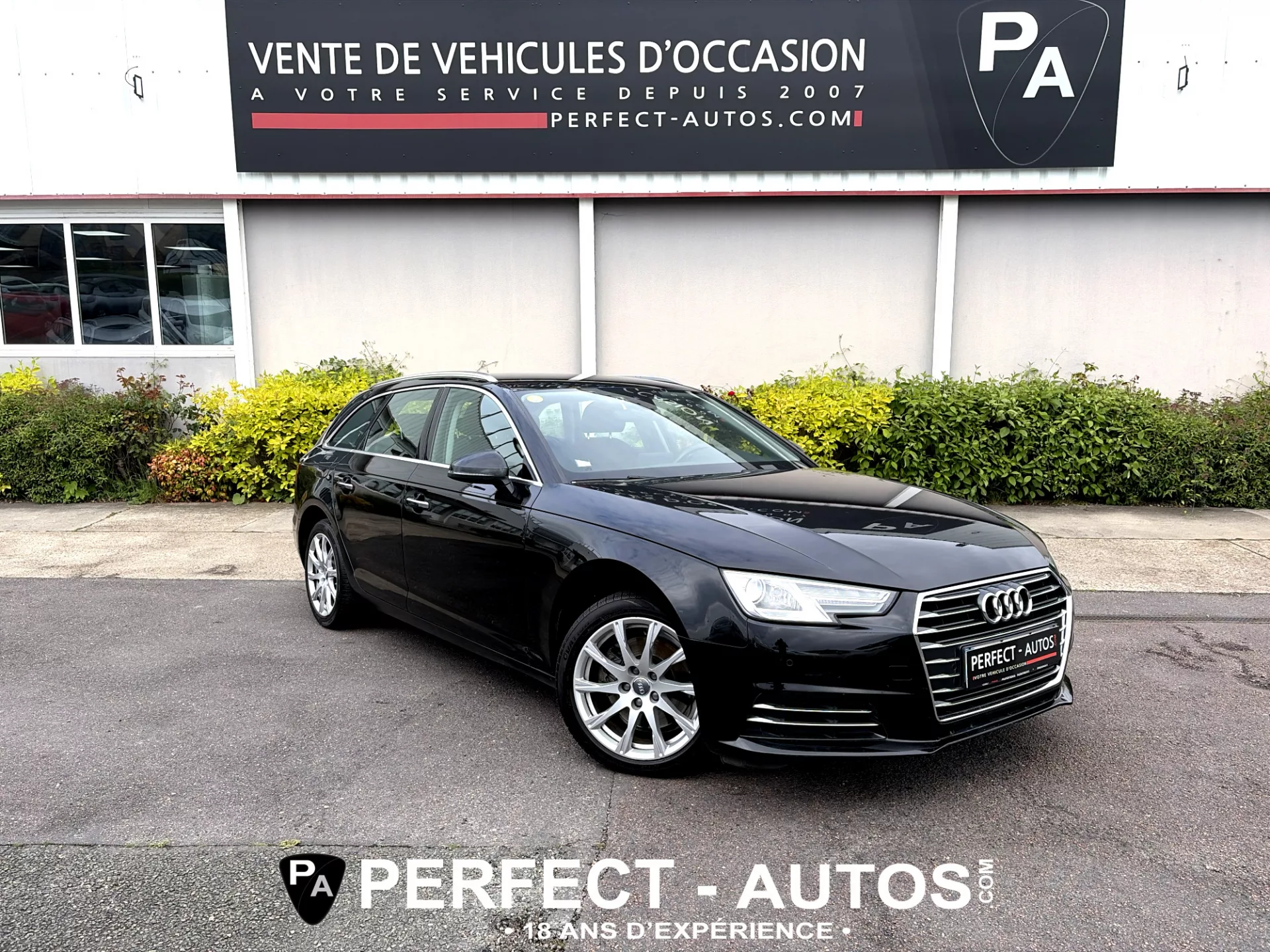 AUDI A4 V