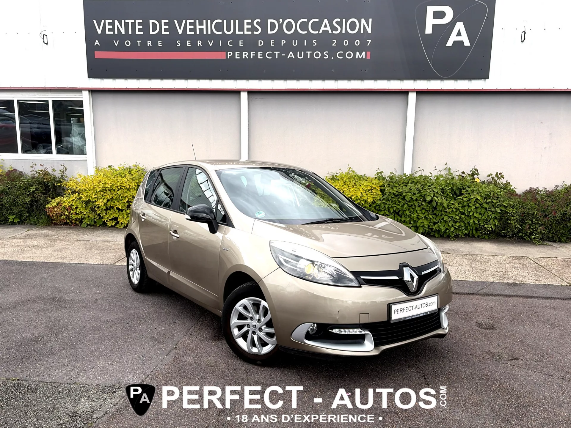 RENAULT SCÉNIC III (3)
