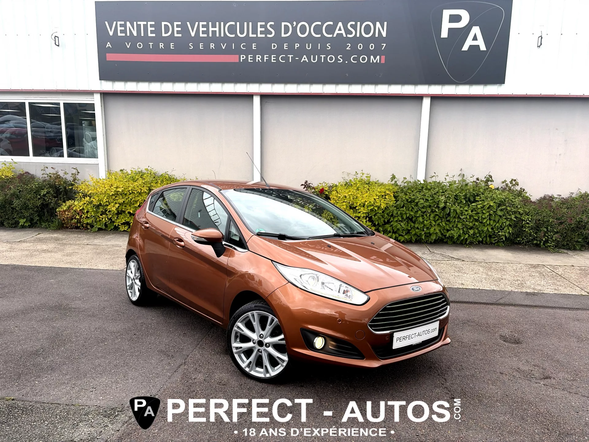 FORD FIESTA VI